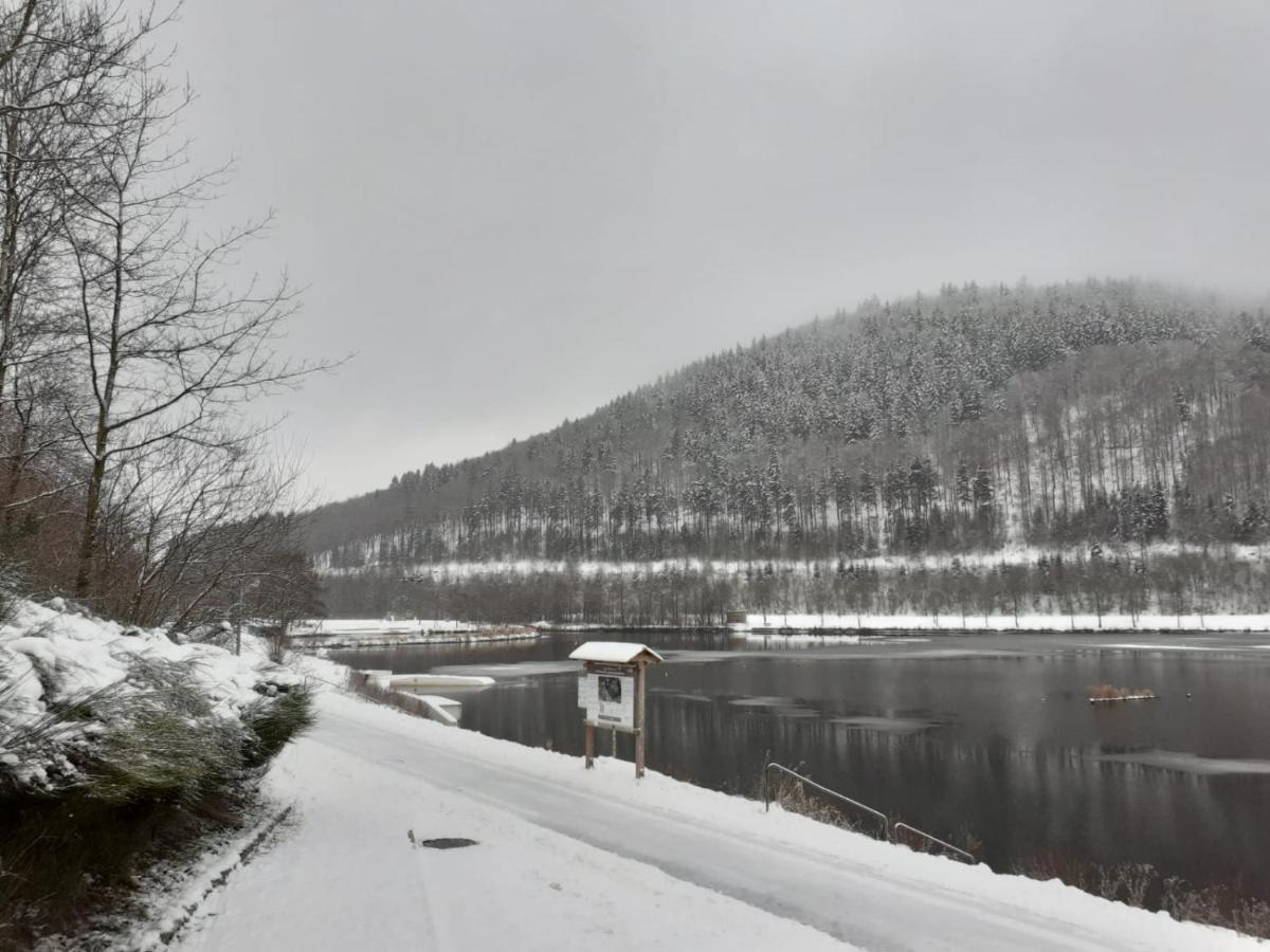 Ferienwohnung Jule Incl Sommer Card Winterberg Buitenkant foto